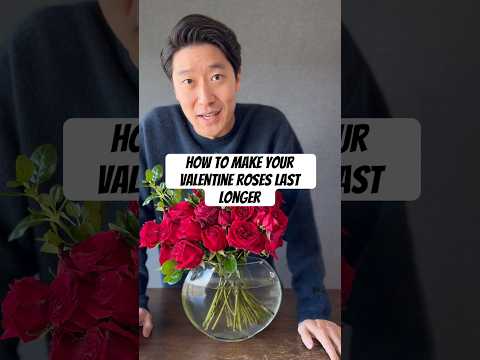 The Way To Transport Flowers In A Car: Ideas From Supply Service